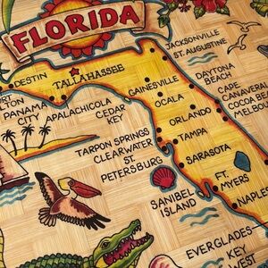 Florida Basket Tray Bamboo Souvenir Decor Florida Map Alligator oranges palms